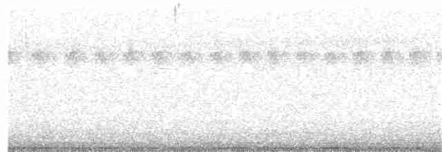 Channel-billed Cuckoo - ML387045101