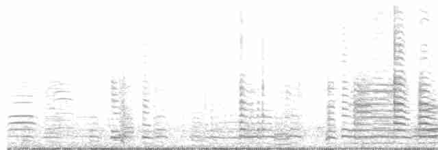 Cisne Trompetero - ML387170231