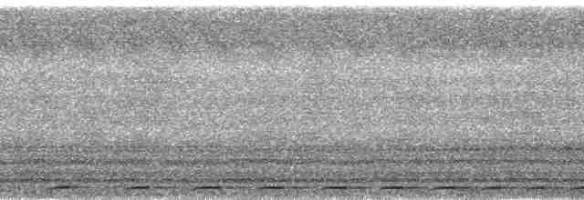 holub ametystový - ML38718