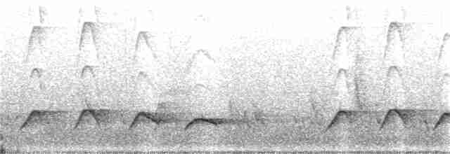 Barred Long-tailed Cuckoo - ML387191651