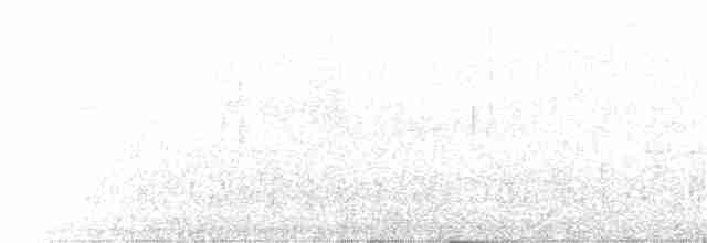 Mirlo Acuático Europeo - ML387244681