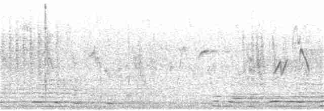 Бурый ушастый фазан - ML387258071