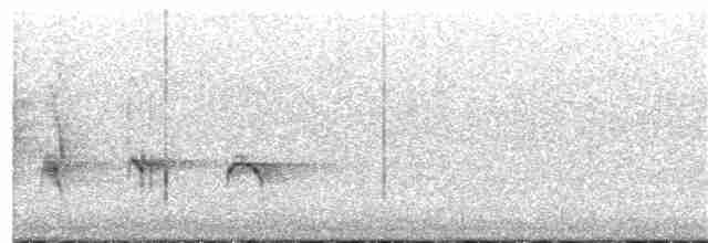 Bulbul noir (groupe leucocephalus) - ML387284231