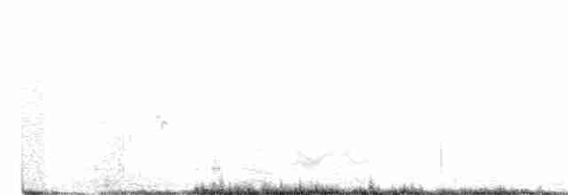 Rufous Fieldwren - ML387365461