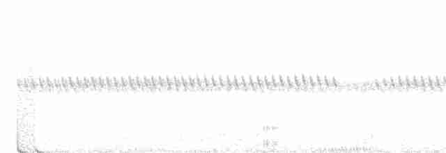 Spotted Nightjar - ML387366581