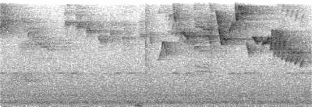 Troglodyte montagnard - ML387392101