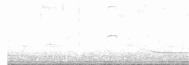 budníček menší (ssp. tristis) - ML387393661