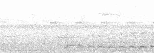 Андский скальный петушок - ML387472401