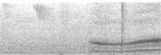 Андский скальный петушок - ML387472421