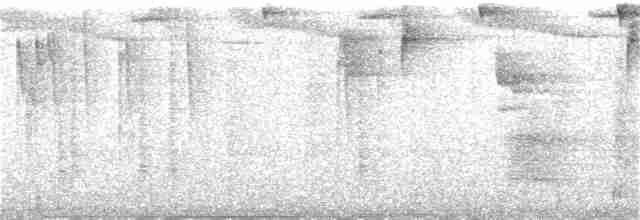 Черноухий колибри - ML387474231