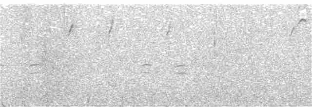 Шишкар білокрилий - ML387480641