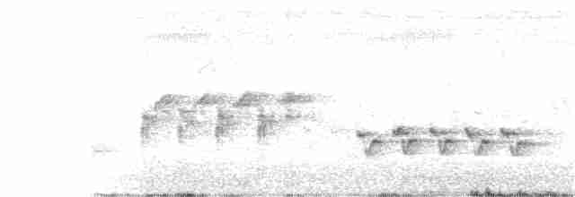 Australian Reed Warbler - ML387587041