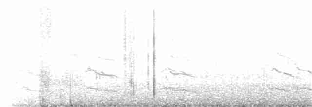 セグロカモメ（亜種 アメリカセグロカモメ） - ML387629771