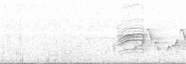 Дрізд-короткодзьоб плямистоволий - ML387645021