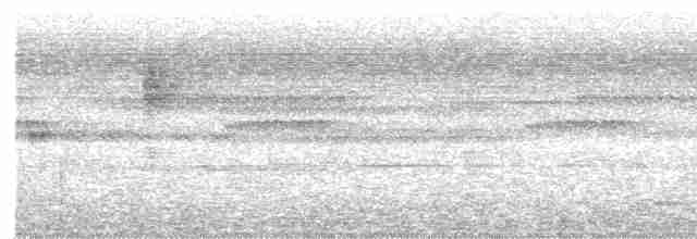Diard's Trogon - ML387662121