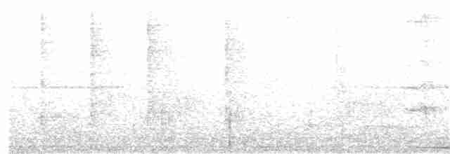 holub šedočelý - ML387691651