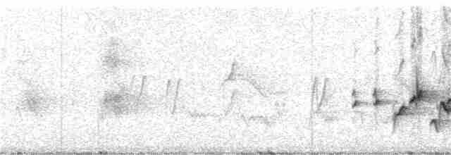 Hawaii-Sichelkleidervogel - ML387839221
