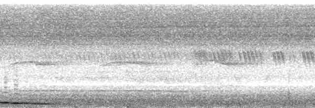 holub černobradý - ML38786