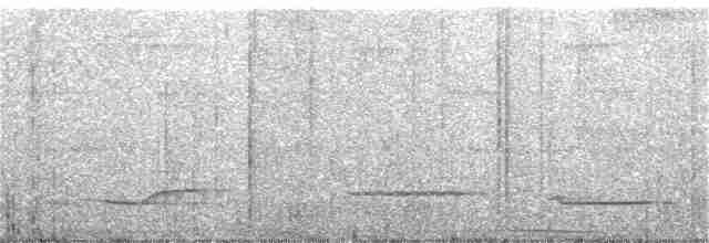 White-necked Thrush - ML387900511