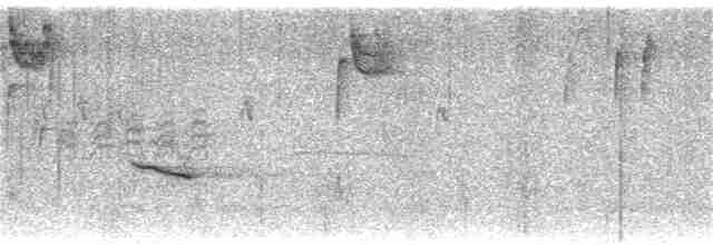 Дрізд-короткодзьоб плямистоволий - ML388039191