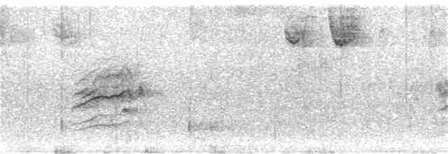 Дрізд-короткодзьоб плямистоволий - ML388039311
