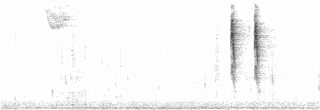 Troglodyte de Baird - ML388049071