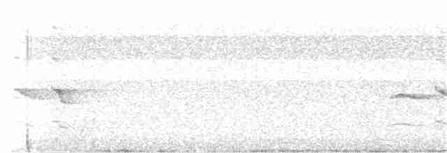 Tuamotu Yalıçapkını (gertrudae) - ML388130661