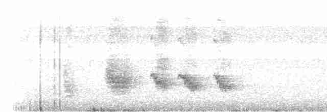 Tuamotu Reed Warbler - ML388132261