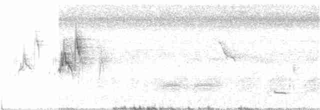 White Wagtail (Chinese) - ML38814601