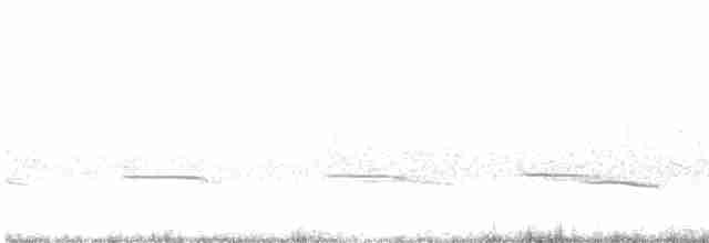 Brushland Tinamou - ML388162151