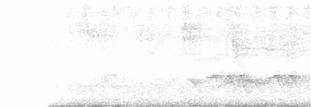 White-browed Woodpecker - ML388249331