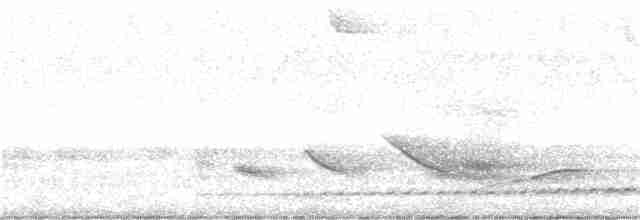 Rufous-tailed Antthrush - ML388249761