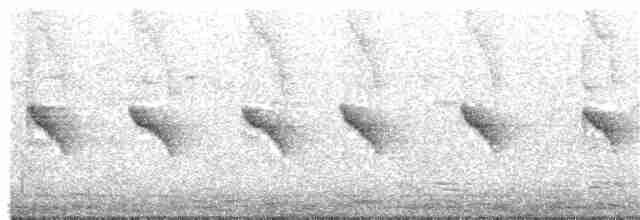 Gray-headed Canary-Flycatcher - ML388260831