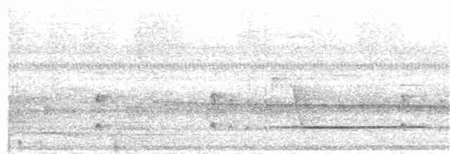 Tinamou de Bartlett - ML388274941