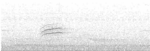 Дрізд-короткодзьоб плямистоволий - ML38831521