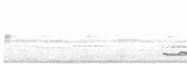 Silky-tailed Nightjar - ML388338271