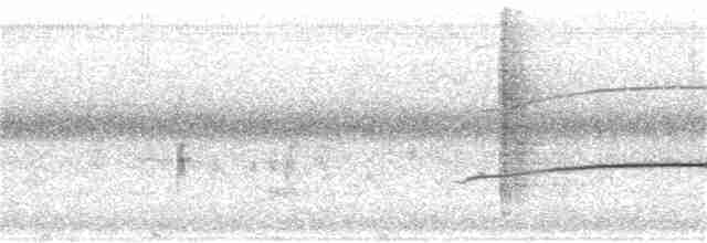 karančo jižní (ssp. cheriway) - ML388339761