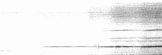 Variegated Tinamou - ML388347591