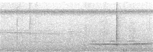 Tinamou varié - ML388347611
