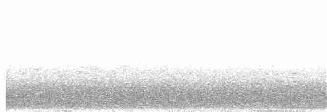 Tinamou à calotte noire - ML388371991