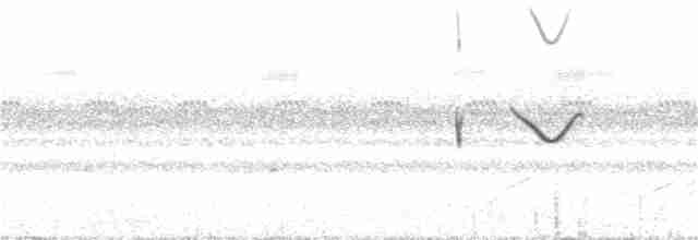 Spot-tailed Nightjar - ML388468381