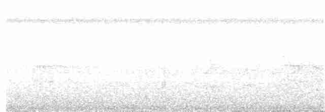 Tinamou à calotte noire - ML388474721