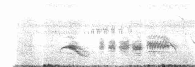 黑冠椋鳥 - ML388496191