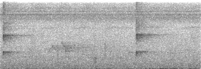 Шлемоносная чубатка - ML388504711
