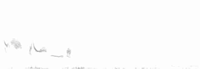 White-crowned Wheatear - ML388507901