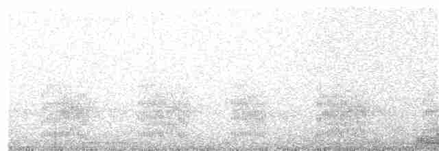 holub skvrnokřídlý - ML388525521
