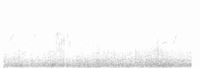 Txoriandre pispoleta mediterraneoa - ML388717431