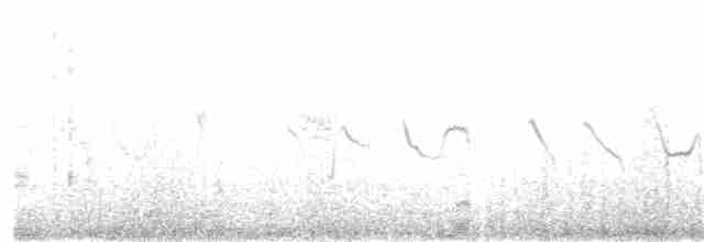 Txoriandre pispoleta mediterraneoa - ML388717451