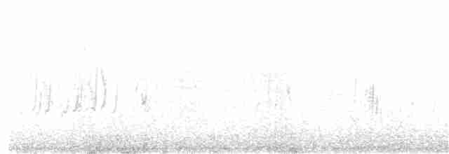 Txoriandre pispoleta mediterraneoa - ML388717471
