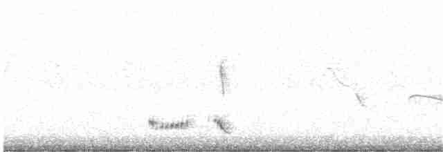 Kara Kanatlı Yer Kumrusu - ML388722251